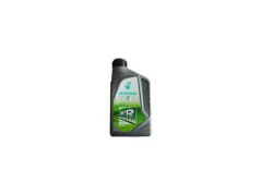 SELENIA WR Forward 5W-30 12x1 L
